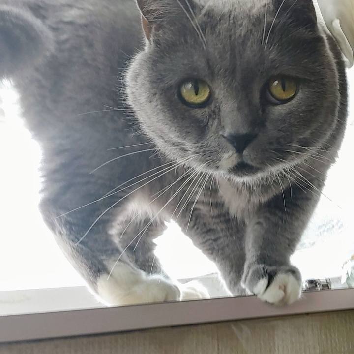 B6d17991 977e 42f9 8737 2327cf4a04f2 1720403065360