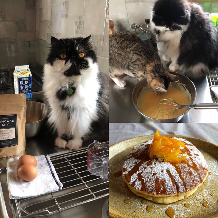 B6d1a345 9a32 4380 baf3 a711d9e73bde 1557640848018