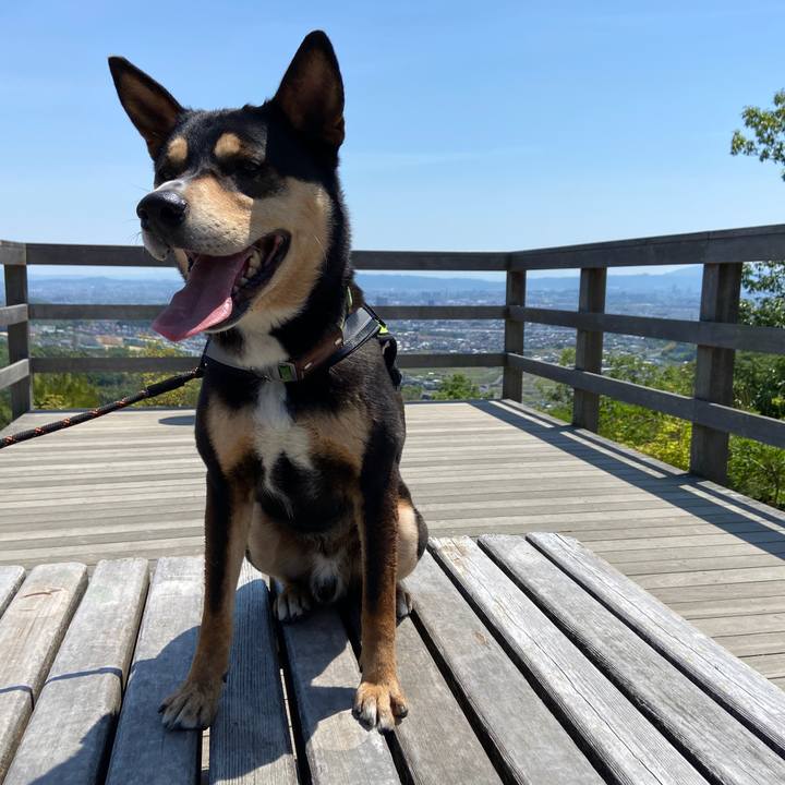 B6d1e901 7353 45b7 854c 86e6d74b9912 1651668630760