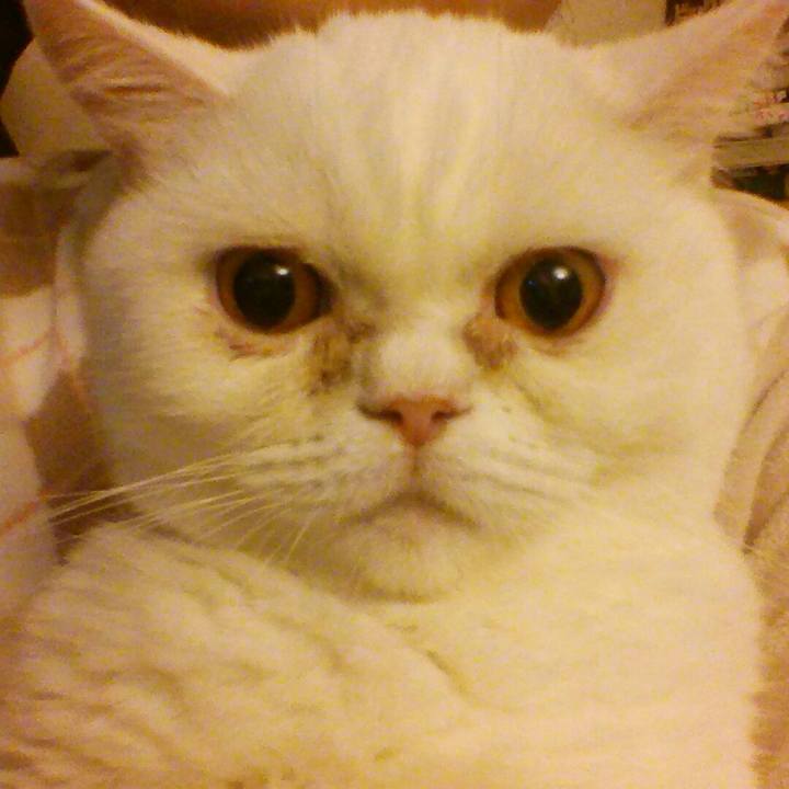 B6d1f310 775c 43c3 b51c 028b8af97814 1508885513710