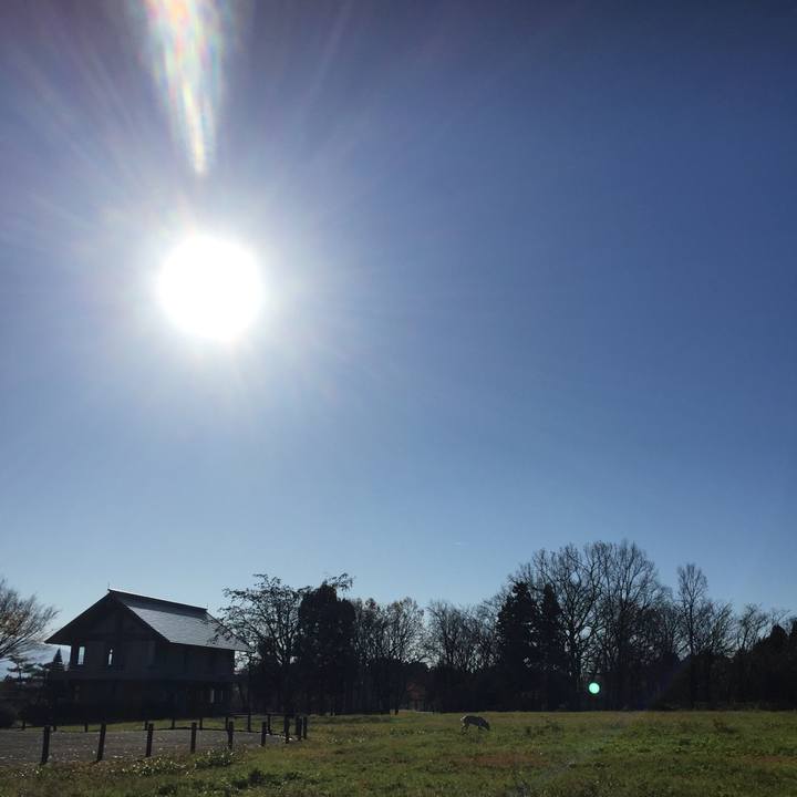 B6d1f58a 513c 41c9 87ab 2effaf556e61 1543715656981