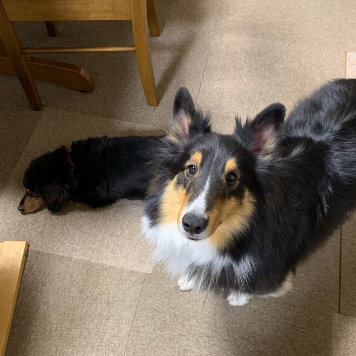 B6d21a9e 9f2c 4daf a94b c4d5fa092c9d 1577137564153