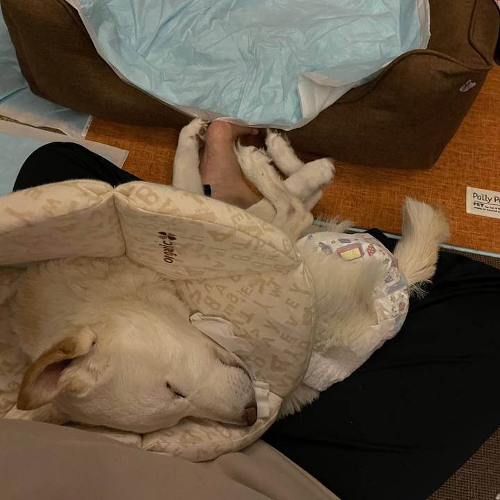 B6d21e80 221a 4a03 b633 c5e674a4c82c 1668433026477