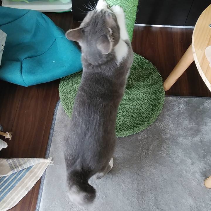 B6d251e3 6be6 4967 855d 71ee62d593ff 1593206973615