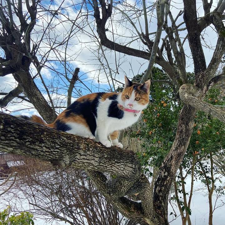 B6d26519 8620 4507 ba69 3ae64215f4fa 1641101943828