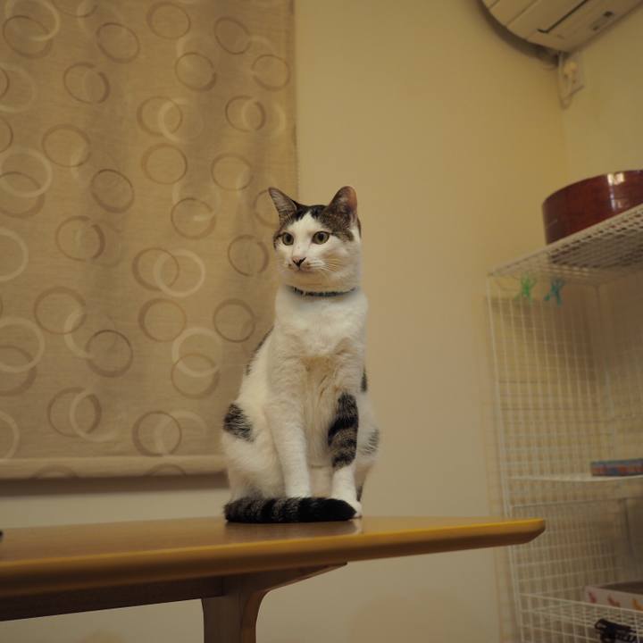 B6d27612 a703 4254 842b 3313665e4f1f 1537867670505