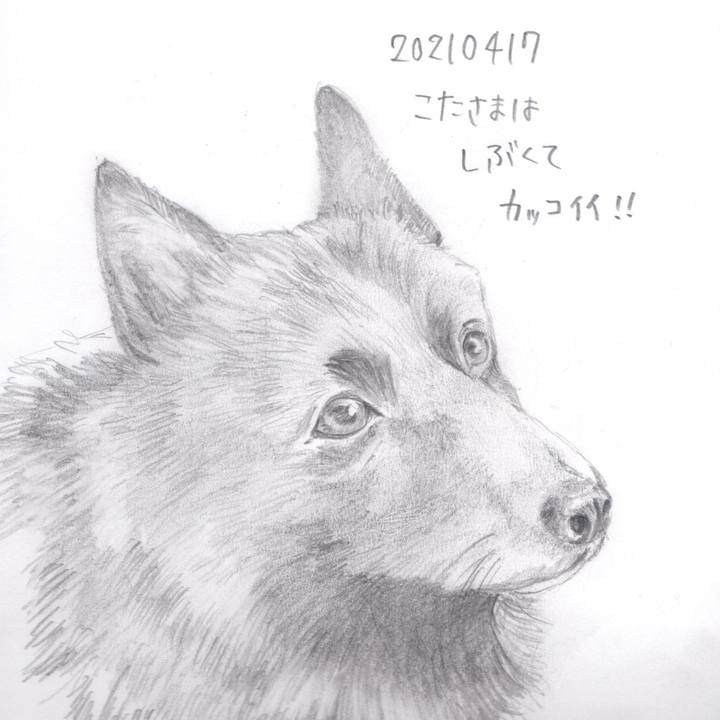 B6d27710 62e8 4010 91e3 bb061e64bbc9 1618627211189