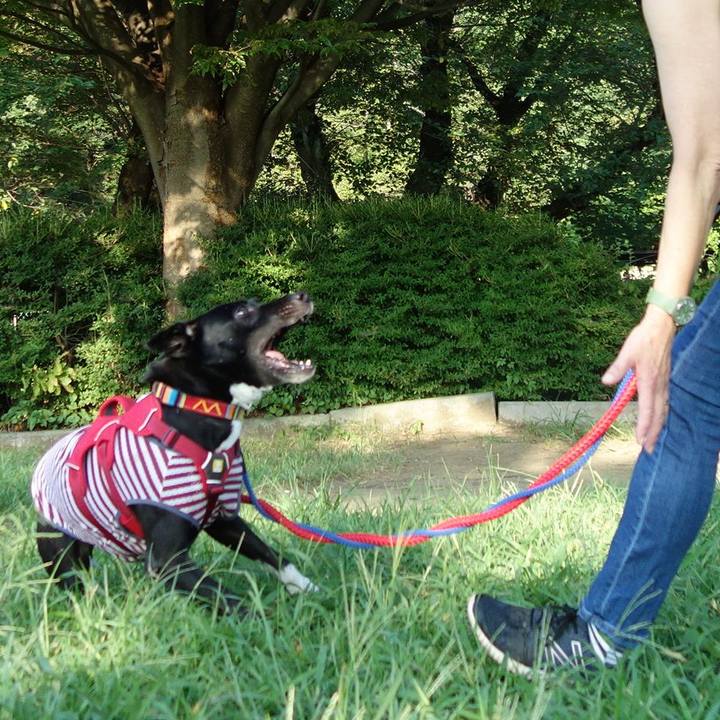 B6d2c77b 9d01 45b4 8c76 059ef00408a0 1597968695505