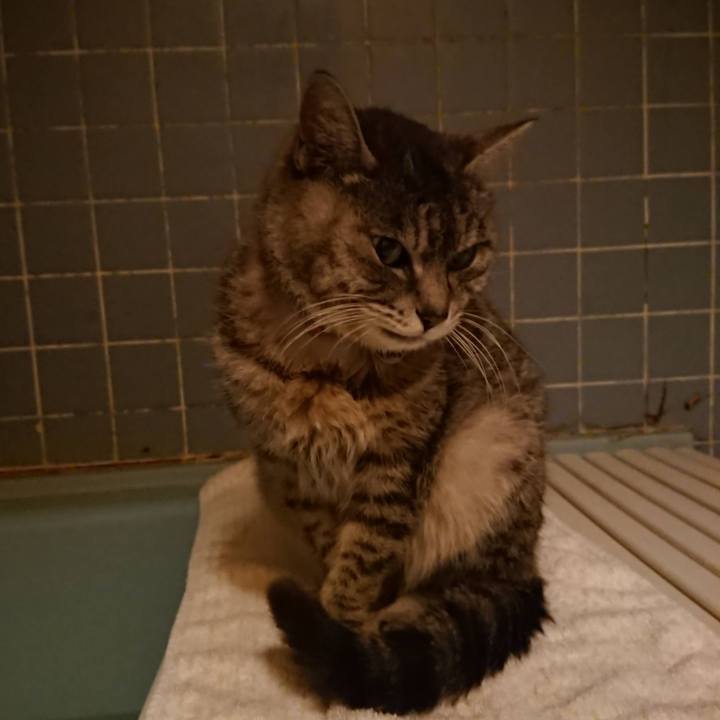 B6d305fb 6d0b 4c45 823b abebbbf1704a 1662108502029