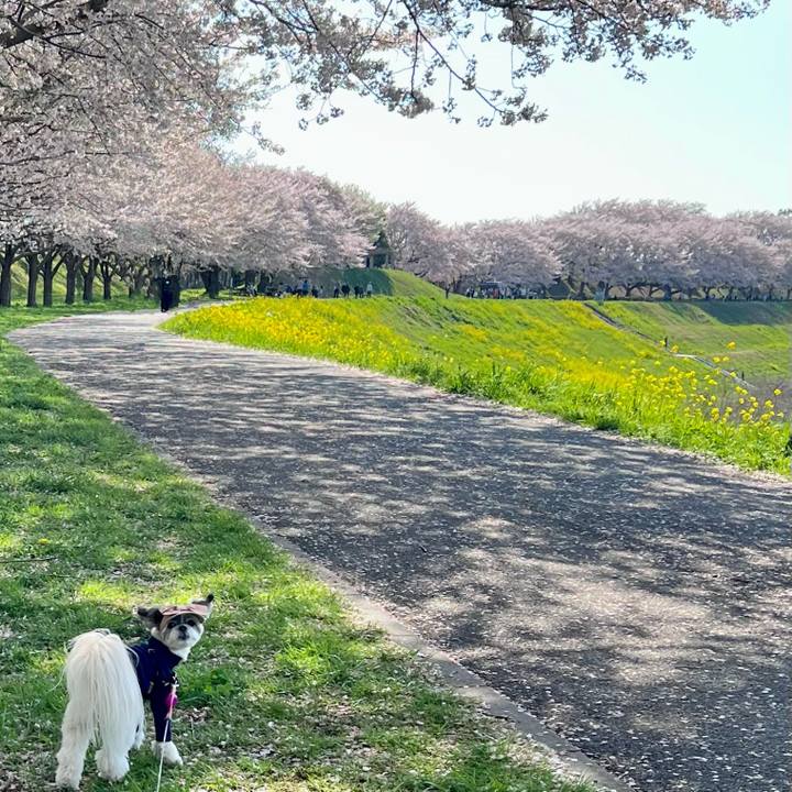 B6d33c40 1c3d 4d98 8bcb 70d91ce06228 1775350935380