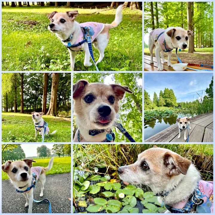 B6d36cdd 802e 4b25 a46a 2b23e13e764a 1687572014525