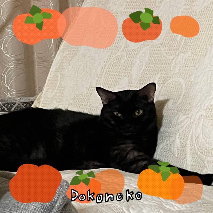 B6d379c9 88a1 400c 81fa 2508d2b4e1bc 1761613632304