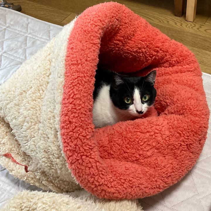 B6d39bbb e61f 4197 a7b9 a19b61c69886 1651319008411