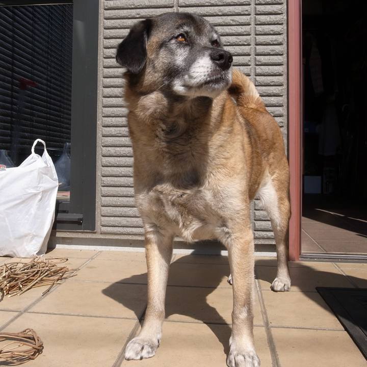 B6d3c968 dd3c 4446 94f3 fe72838db9c6 1584580492655