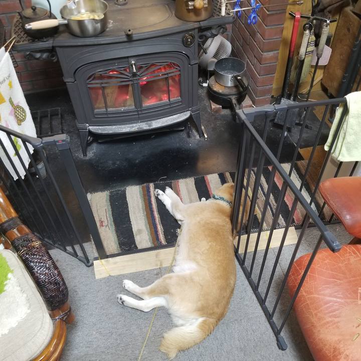 B6d3c9dc 65d9 460b 959d 4fa27fb385b8 1706312326961