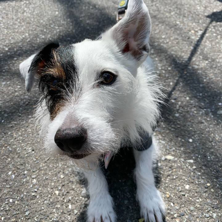 B6d3de2d a0cf 42da 90a3 2555e76fad30 1650847776944