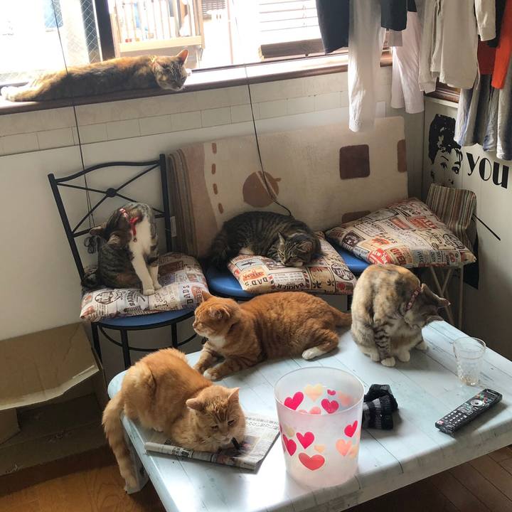 B6d3de87 663e 447d 8399 17d941bb802f 1562124964825