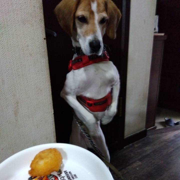 B6d407a5 3988 4a57 8d87 5657ee4680ec 1708175809459