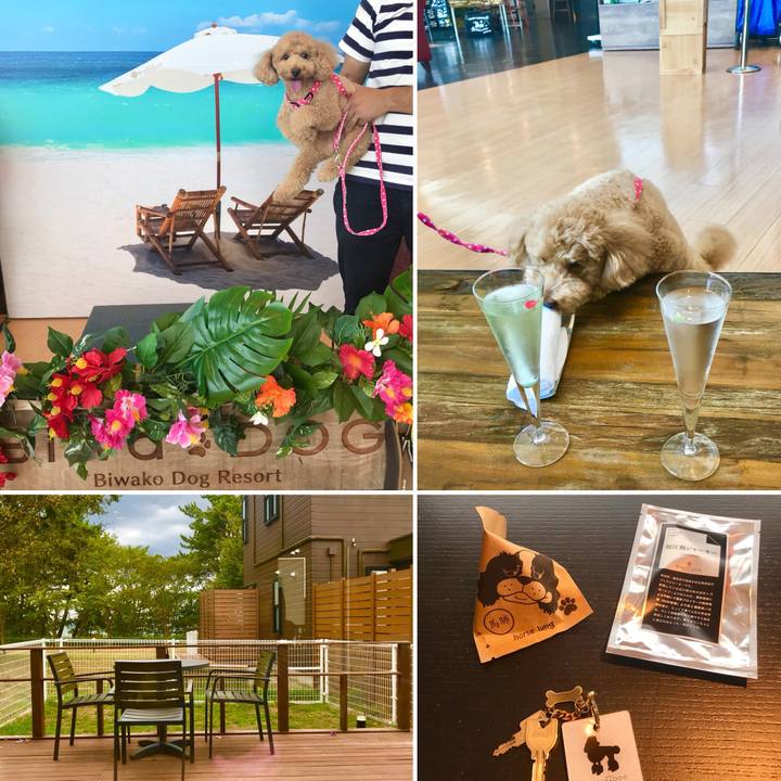 B6d455e4 adbe 45ed bd66 02d231b3c304 1535697127285