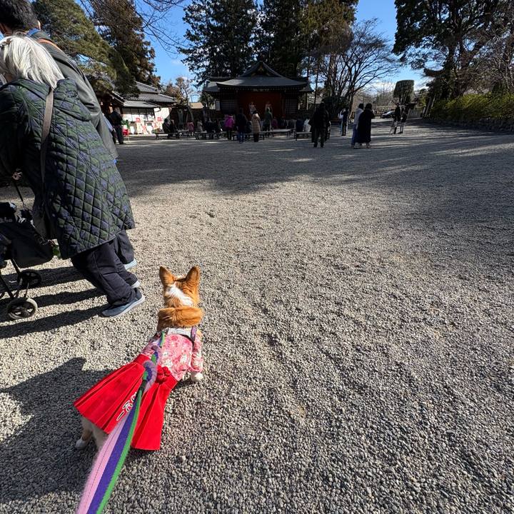 B6d4a63d 6589 46f7 b3c7 7275ac749eba 1769326813349