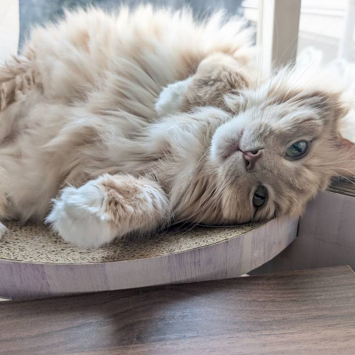 B6d4cdb0 d5ad 4f57 8da3 5329d6a63cc1 1771384958542