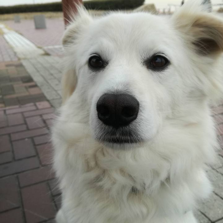 B6d4d181 c8d5 46d0 a105 d1faa11db306 1518665333942