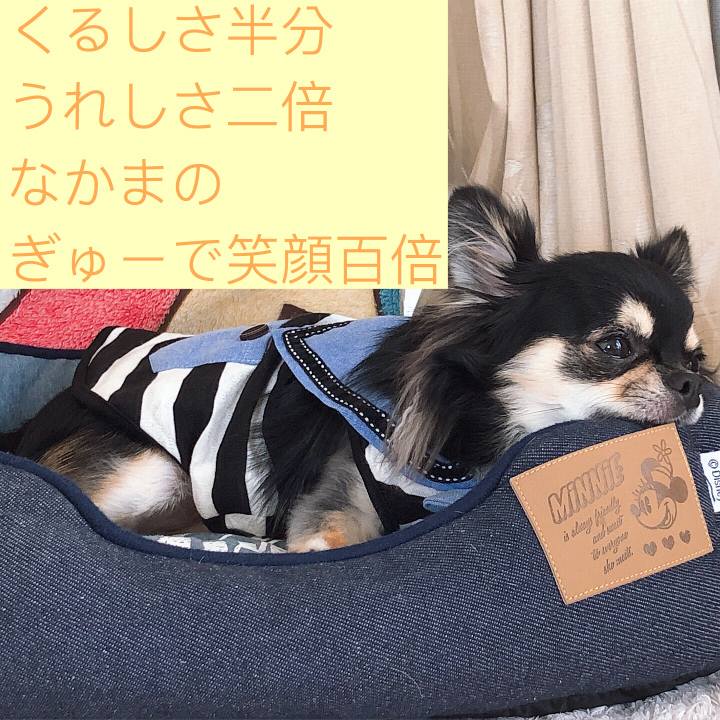 B6d50344 c088 4f6c 9387 9bae713c92c9 1567859481883