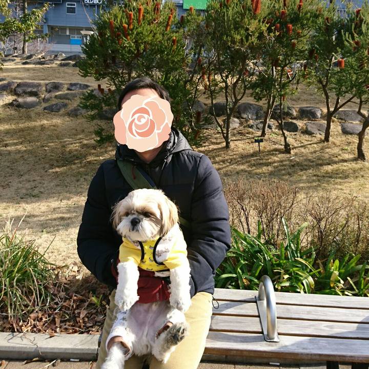 B6d50d5e 832c 4be0 92d5 ad42af4bb9af 1549788920274