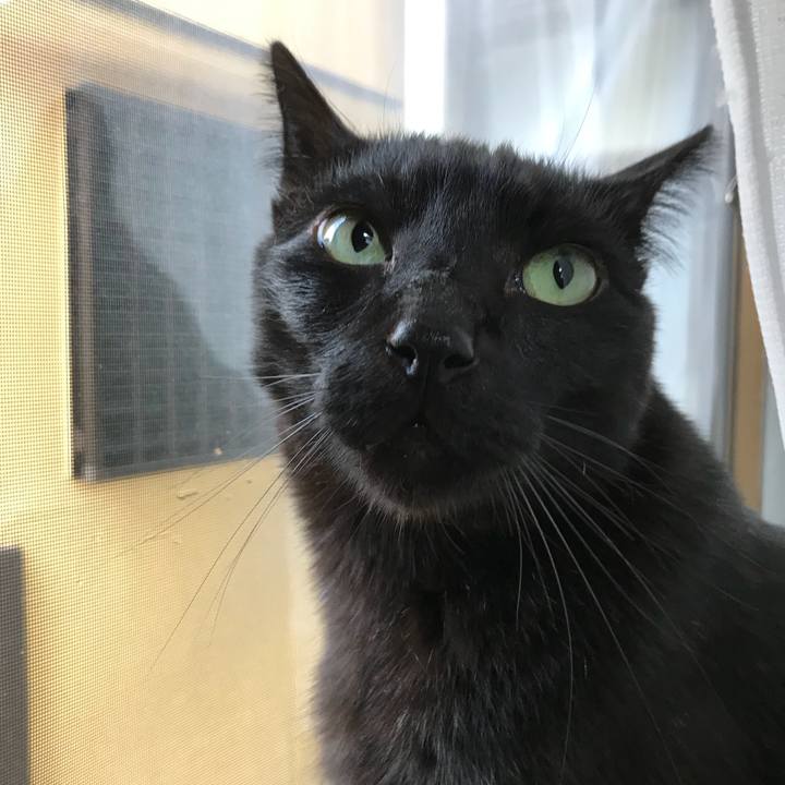 B6d51ae2 3535 45b6 b659 29736ce40704 1525309867841