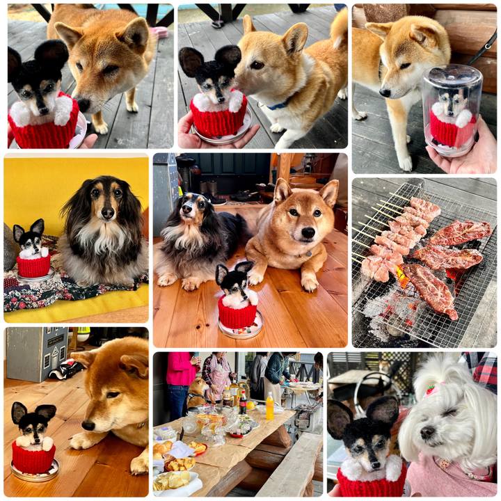 B6d52b8e 07d9 4665 a156 1d9f932c3862 1681628227870