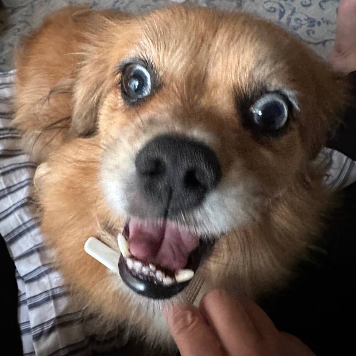 B6d55d04 24ca 4ecc bb65 f9b7f88f6a63 1695158680036