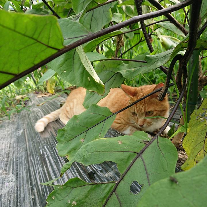 B6d59967 305a 4021 bf5b 407ec584f6b0 1596498513668