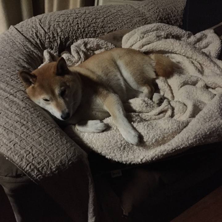 B6d60def ed80 4195 847b c5f1ac8b8182 1512228156776