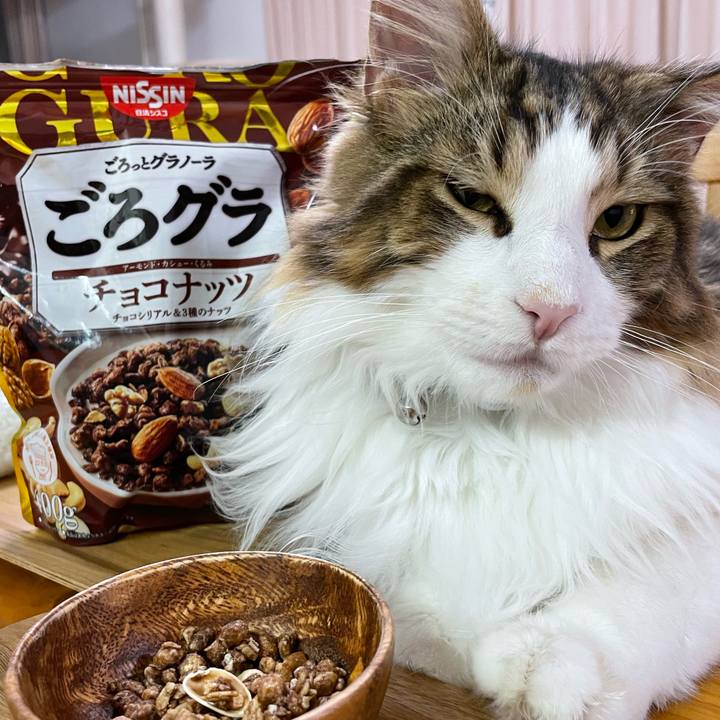 B6d60ff2 1a3b 4216 b2d6 3c65f1346fe4 1650453468859