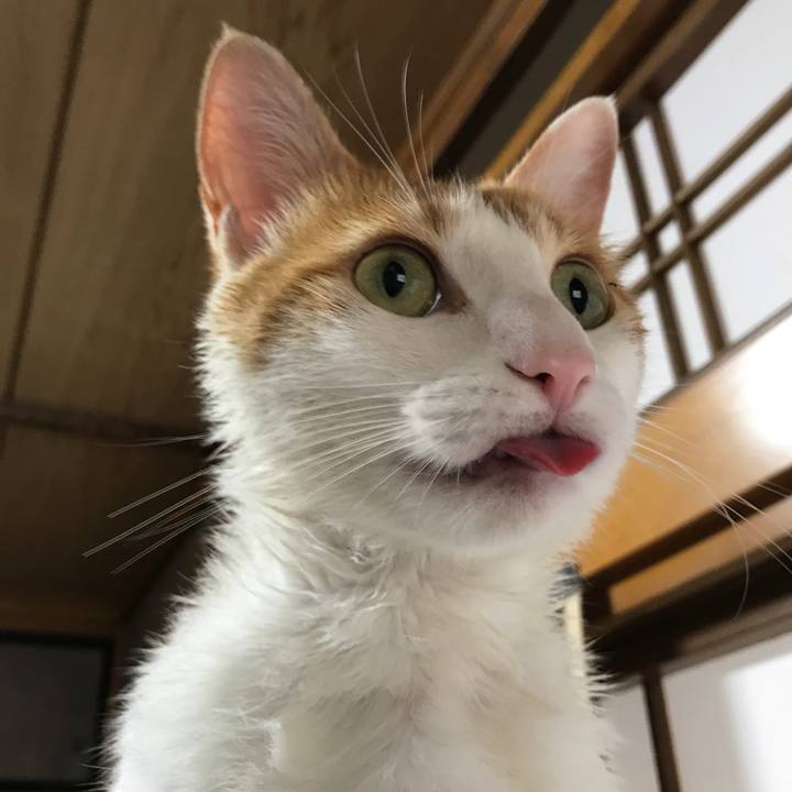 B6d63582 c6ec 4d2b b4b2 7f575649a953 1508133148545