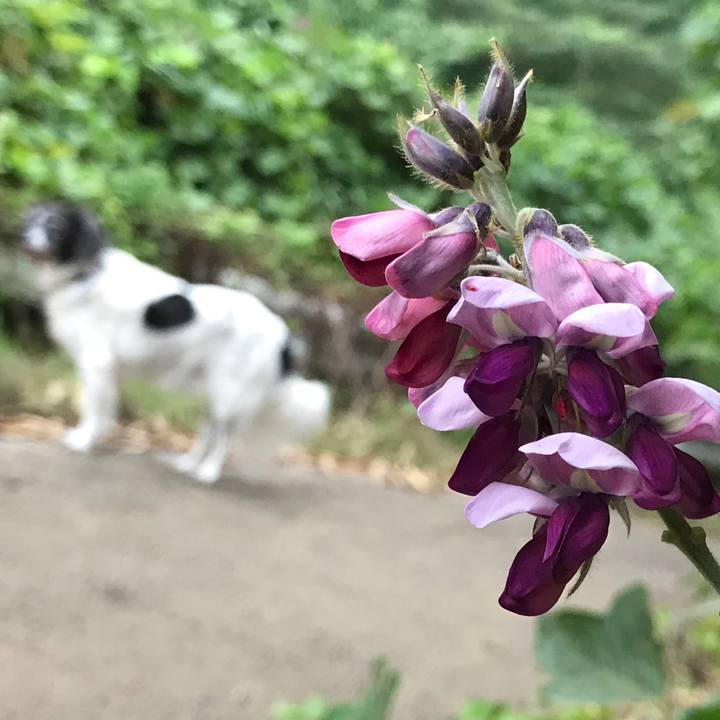 B6d64c32 f52e 424f 8c50 c521f802c582 1536330242291