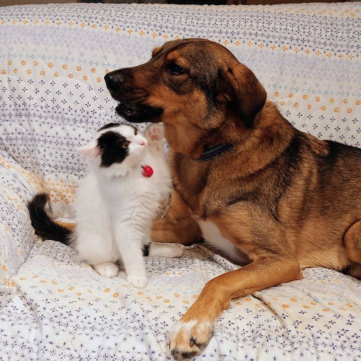 B6d661aa f3d7 4f2e 81e6 3ff4fc0fcbbb 1760919883334