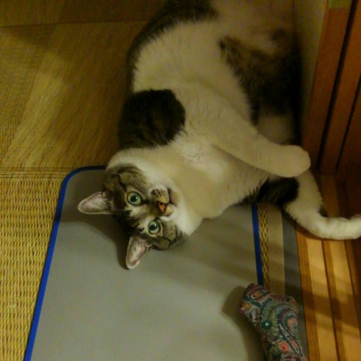 B6d687ff 80ac 4ade 9943 2475d0a142c9 1630016977589