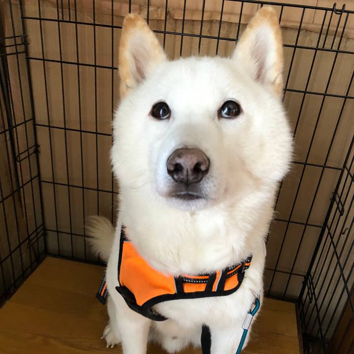 B6d6c81c 3c79 49b6 b382 9e98ef014bbb 1672453823997