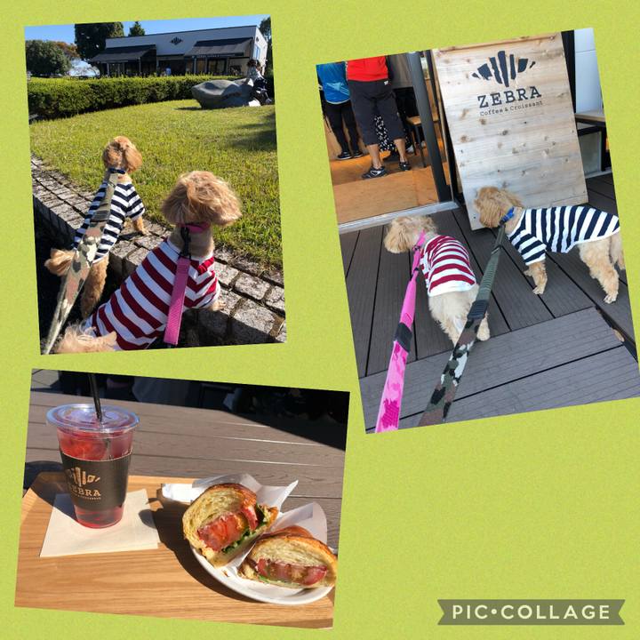 B6d6e120 ce68 4dad ba92 1fb45aa22dc5 1635076820575