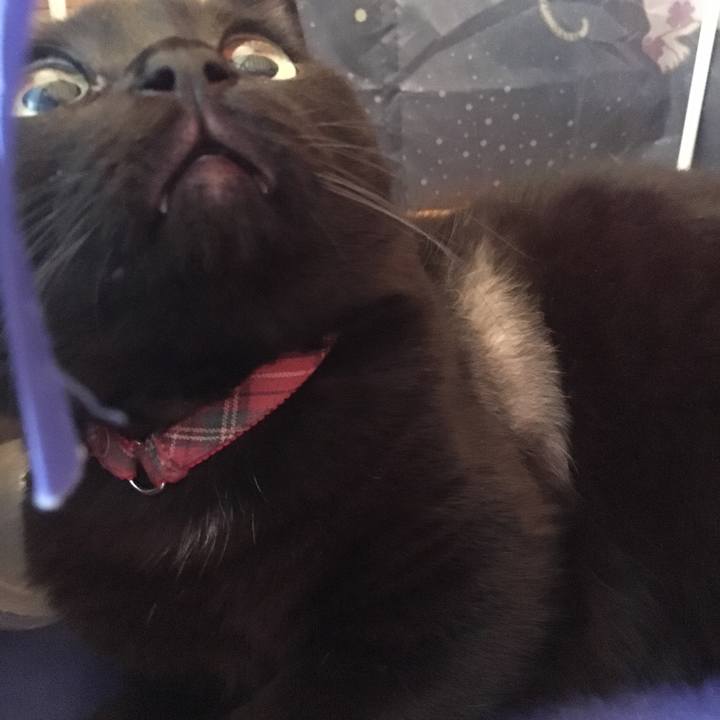 B6d73bea 40bc 4cec a907 0ac33235efb7 1508378806102