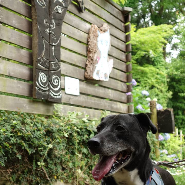 B6d74ffe ccc9 467c 89c5 8ba9072f0e18 1716681762833