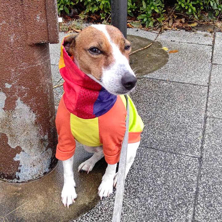 B6d75e65 03e5 4188 b63b d7130a341127 1669158682710