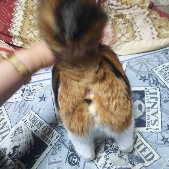 B6d76e4d 117e 4348 b311 ac339080ed48 1572258298917