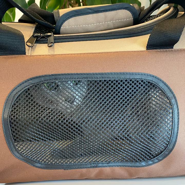 B6d78220 5f04 412d 8223 e342931b3880 1582759624583