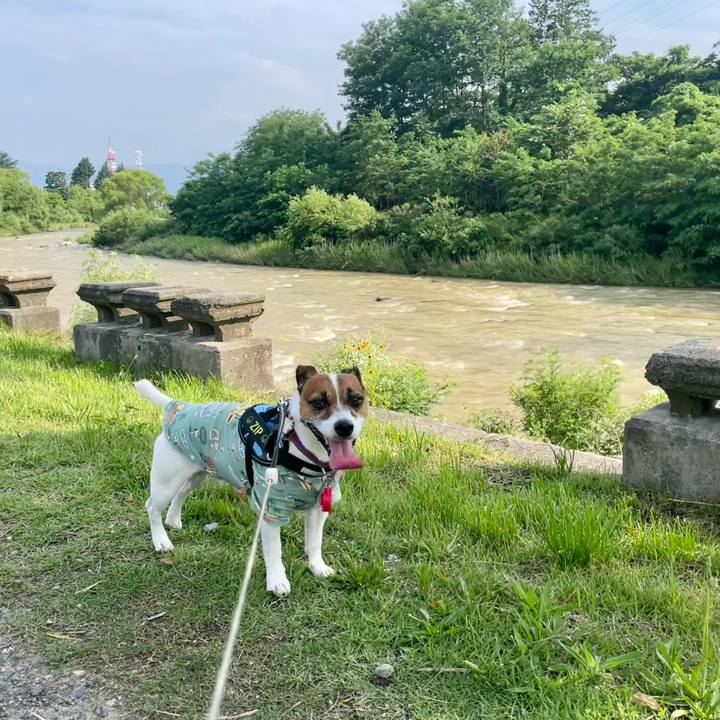 B6d78637 3cbd 4de5 88c4 342d93958089 1719298828802