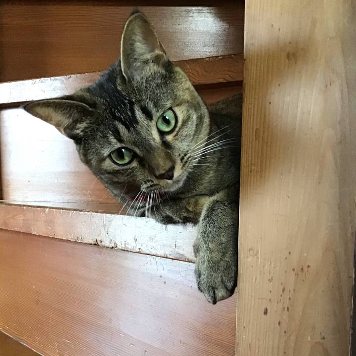 B6d7a917 355c 4b26 8baa d49983706197 1602641604199