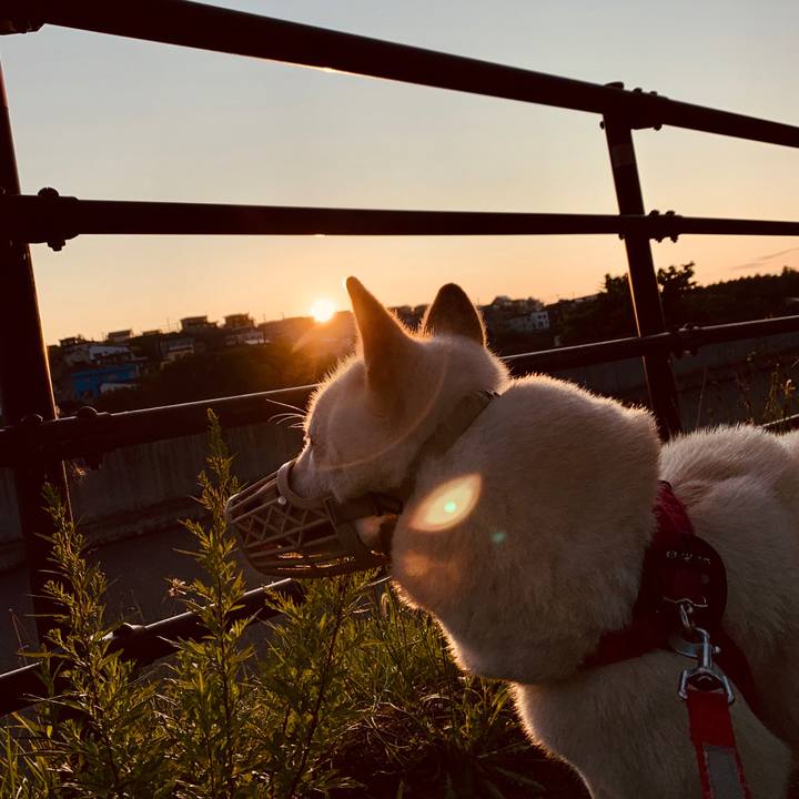 B6d7d7bf 5542 437b 9967 7a29f7a49905 1566855178167