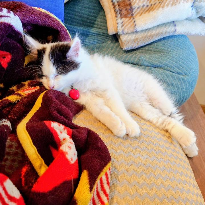 B6d7fcf1 eb96 4db7 bbd8 130d066e674b 1759108615713