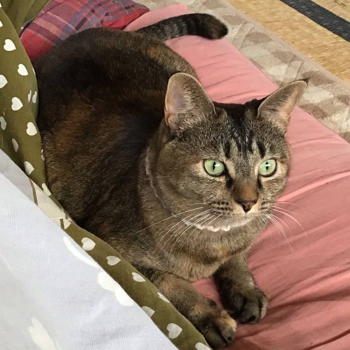 B6d7ff42 97b1 4698 86a0 96fed50aa713 1674273840572